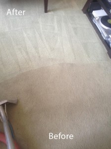 Carpet-Cleaning-Spring